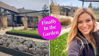 Outside Starting Over, New Strawberry Patch with Cardboard | Spring Garden Vlog April 21