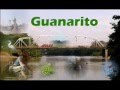 Marco tovar guanarito tu me inspiras
