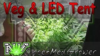 Veg and LED Tents, 1/5/2017