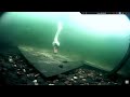 Zwaan, zeelt, blankvoorn, zwartbekgrondels - short