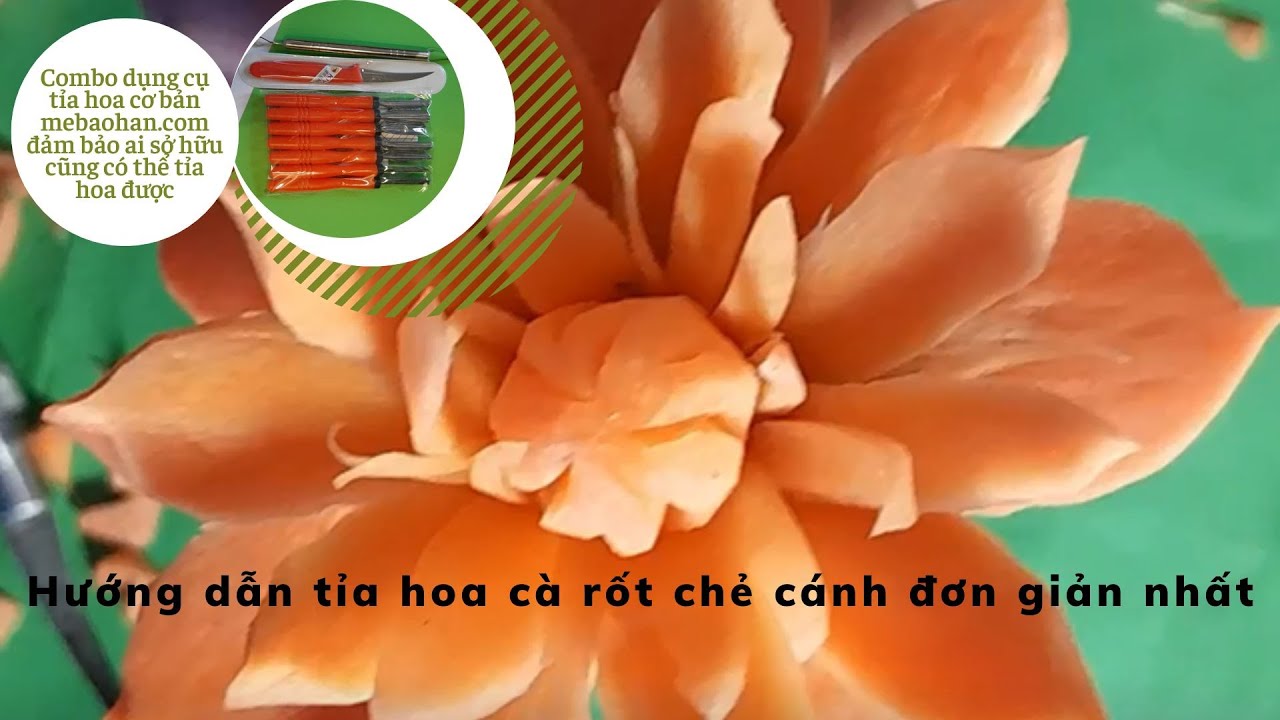 Cách làm hoa cà rốt chẻ cánh dễ nhất cho những bạn mới bắt đầu cắt tỉa ...