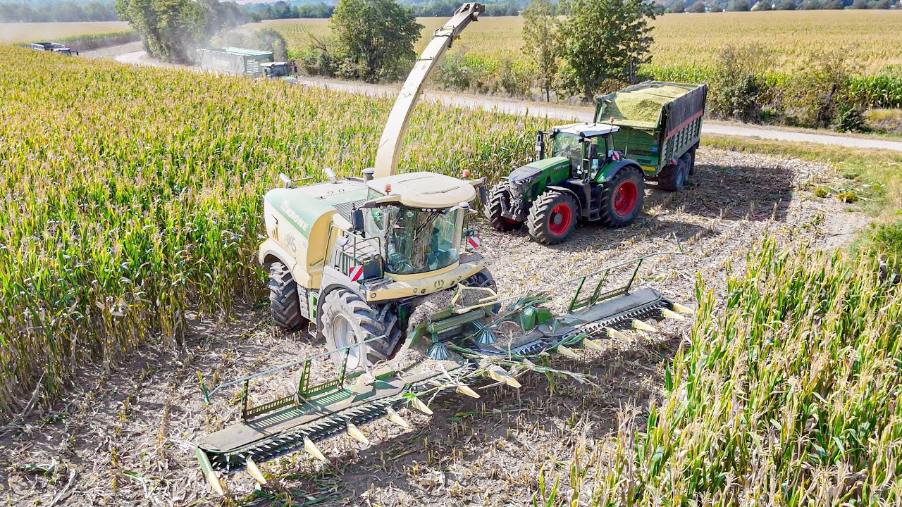 Krone BIG X 1180 mit 14 Reihen Krone EasyCollect 1050-3 bei der Maisernte 2024