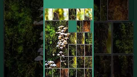 Jigsolitaire puzzle game level of 219 #jigsoffical #quiz #jigscollection #puzzle #puzzlefrenzy #game