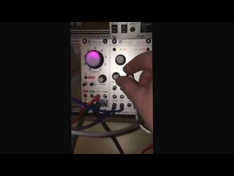 Mutable instruments - Rings (hidden Reverb mode) Eurorack Modular Synth