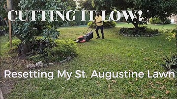 Scalping My St. Augustine Lawn! Height of Cut Reset for a Healthier Lawn