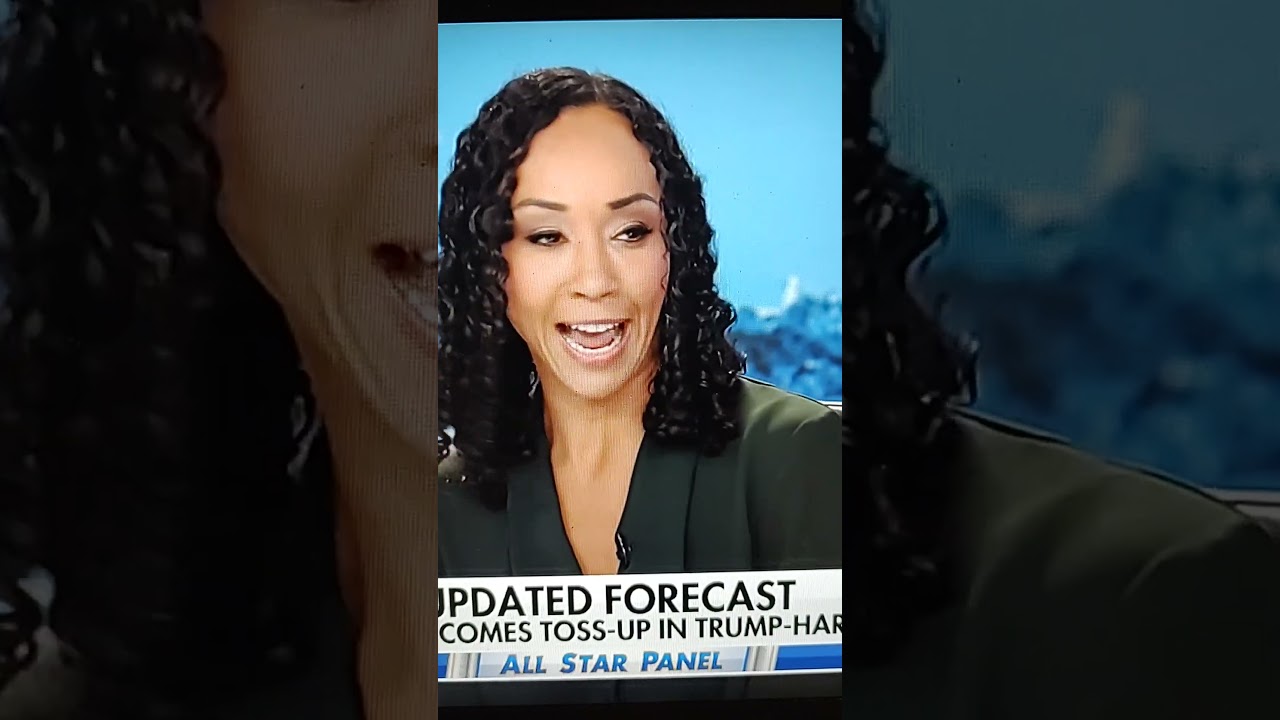 Francesca Chambers, Fox News