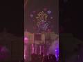 Nintendo Drone and Fountain Show