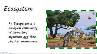 Vocabulary: Ecosystem, Biotic, and Abiotic