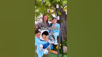 We stan Snowball Astro. #Salesforce