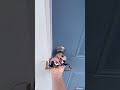 Coming home from work