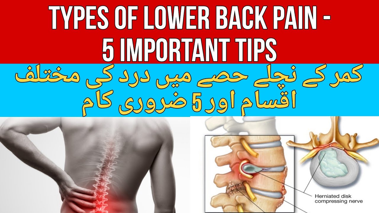 Types Of Lowers Back Pains 5 Important Tips YouTube