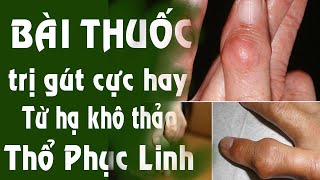 Bài thuốc điều trị Gút từ thổ phục linh và hạ khô thảo cực hay nên áp dụng hôm nay