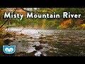 CALMING RIVER AMBIENCE - Relaxing Nature Sounds for Sleep 2 Hour