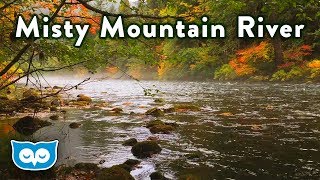CALMING RIVER AMBIENCE - Relaxing Nature Sounds for Sleep 2 Hour