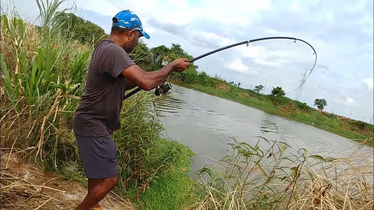 Amazing fishing | tortoise & big catfish catch