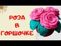 МК Розы в горшочке / Подарок на 8 марта / Вяжем крючком