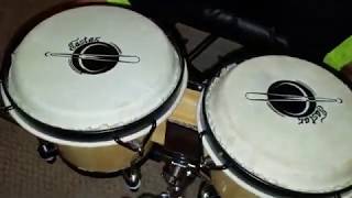 Eastar EBO 1 Bongo Drums 2 Sets 6” and 7” Wood Percussion Instrument Bongos Review