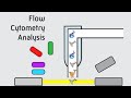 Flow Cytometry Analysis