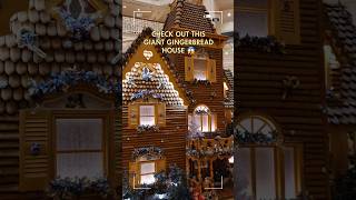 Amazing Gingerbread display return to Walt Disney World! #shorts #disneyparks #gingerbread