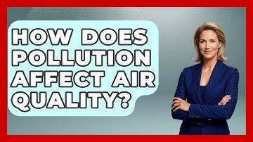 How Does Pollution Affect Air Quality? - Chasing Big Fish