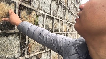 Khám phá cầu độc nhất vô nhị- Cầu Kalong