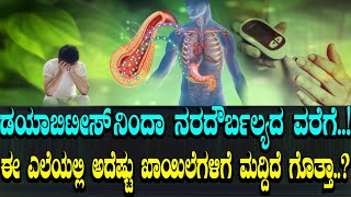 ಡಯಾಬಿಟೀಸ್​ನಿಂದಾ ನರದೌರ್ಬಲ್ಯದ ವರೆಗೆ..! ಈ ಎಲೆಯಲ್ಲಿ ಅದೆಷ್ಟು ಖಾಯಿಲೆಗಳಿಗೆ ಮದ್ದಿದೆ ಗೊತ್ತಾ..?