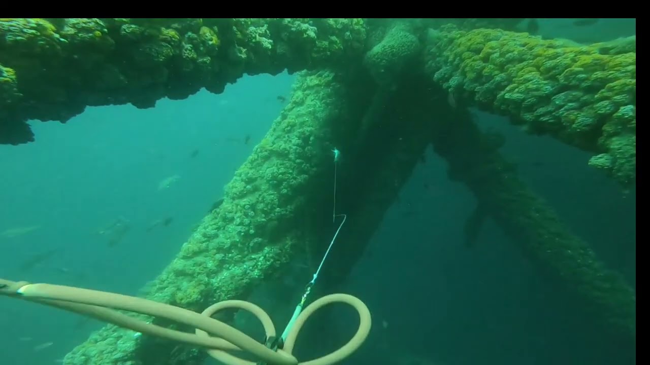 Rig diving in la coast dive2 