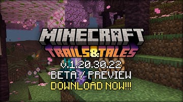 Minecraft Bedrock 1.20.30.22