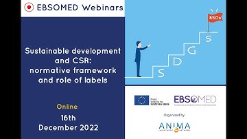 Sustainable development and CSR: Normative framework and role of labels