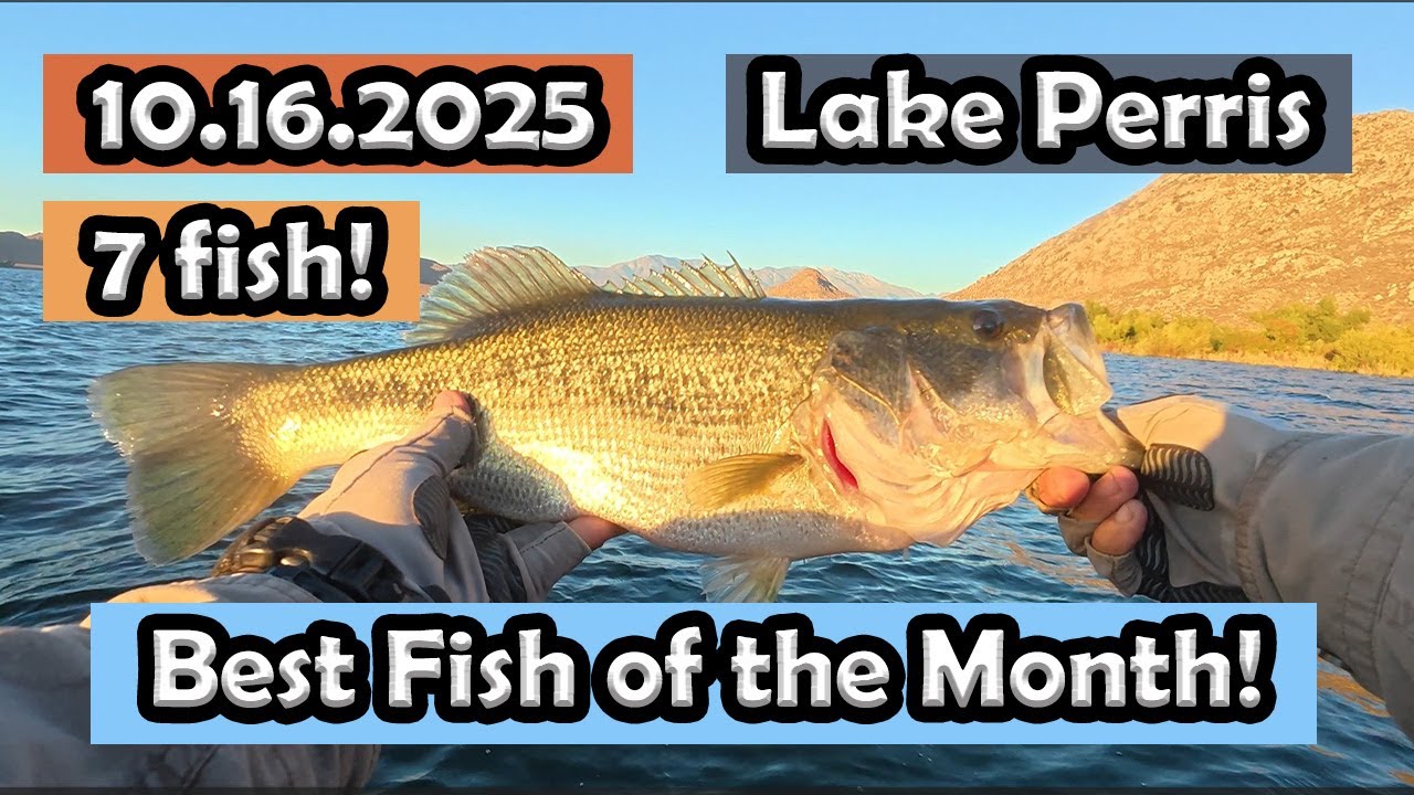Lake Perris Bass Fishing: 7 fish. Best fish of the month! #zmanfishingproducts #bassfishing #fishing