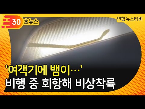 [30초뉴스] &amp;#39;비행기에 뱀이…&amp;#39; <strong>말레이</strong> <strong>여객기</strong> 비행 중 회항해 비상착륙 / 연합뉴스TV (YonhapnewsTV)