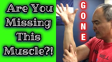 *Missing Muscle* Palmaris Longus Test! | Dr Wil & Dr K
