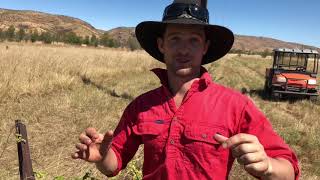 Best bushtucker tips on the net