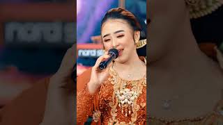 Sawijining Dinaniken Salindry   On Youtube Chanel Kembar  Digitalnikensalindry