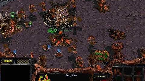 StarCraft: Brood War - 1 Zerg vs 1 Protoss ( 1 Computer vs 1 Computer ) Map: Divided Factions