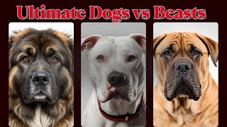 🐕 When Powerful Dogs Face Wild Beasts 💥 6 Dogs That Could Defeat Wild Animals | Strength Unleashed 🐾