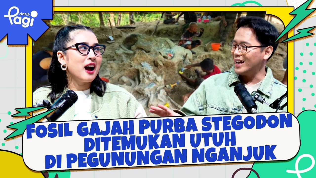 Fosil Gajah Purba Stegodon Ditemukan Utuh di Pegunungan Nganjuk