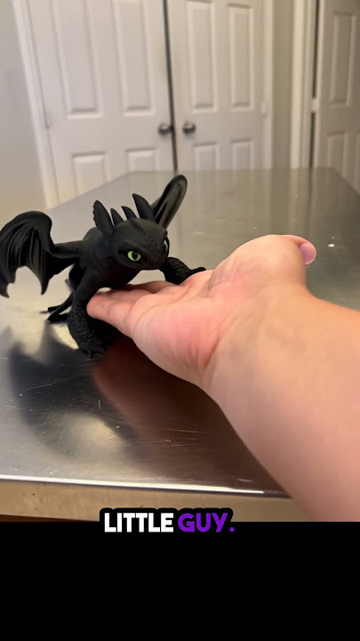 How to train your Dragon 3-D print comes to life!
