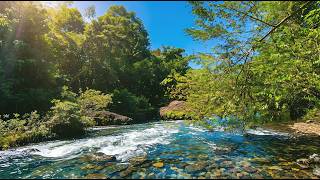 Soft Calm River ASMR 🌊 Pure Water Sounds – No Rain No Music for Sleep & Relax