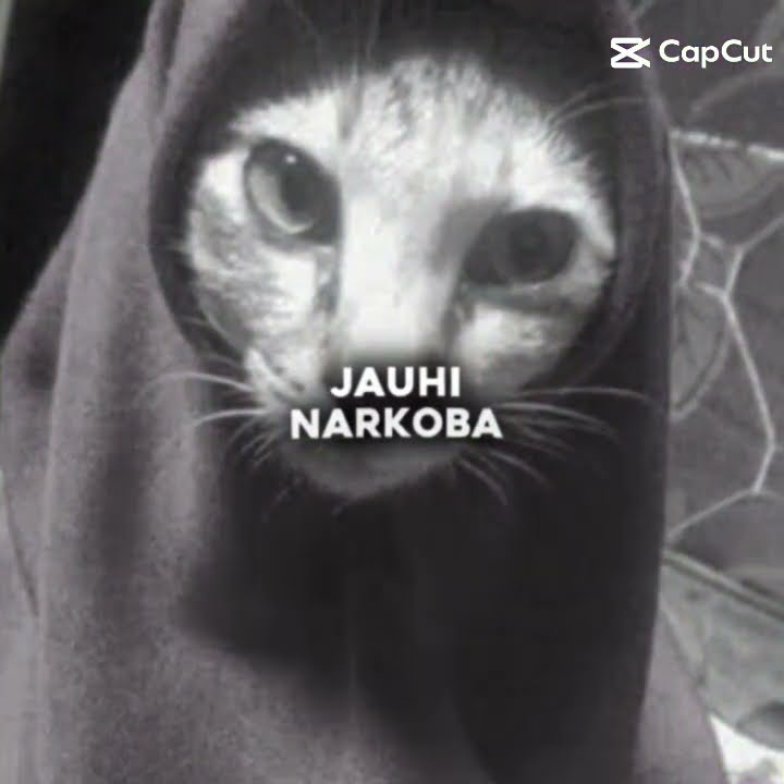 Jauhi narkoba jauhi narkoba