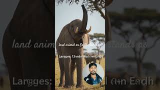Elephants : the wild beasts of jungle #wildlife #wildlifebeasts #elephantlovers #animystic wild