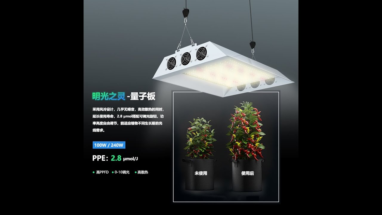 Open-box test of small panel plant supplementary light lamp