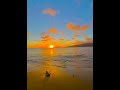 Pumpkin Spice Slice of Paradise 🎃🌅🌊🌴 #halloween #hawaii #sunset #travel #beach #paradise #october