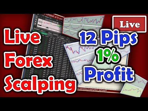 Live Forex Trading, 25 pips (2%) target a day, (Copy My Trades), EUR/USD, GBP/USD, USD/CAD – فارکس