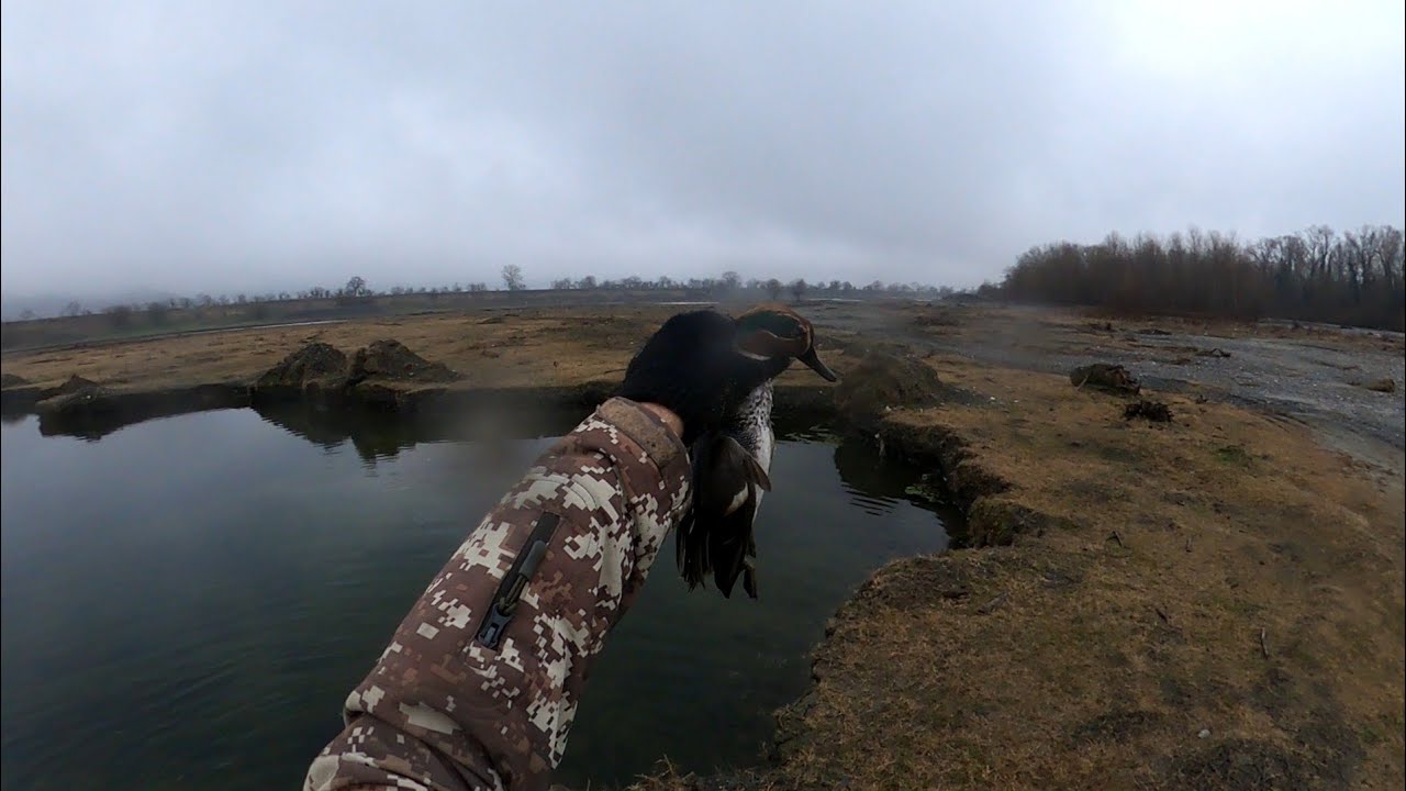 იხვზე ნადირობა