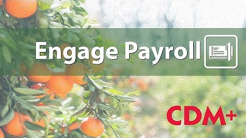 What is CDM+ Engage Payroll?
