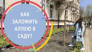 Как заложить аллею в саду? 15 важных правил для сада