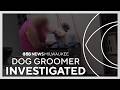 West Bend dog groomer under investigation for mistreating animals