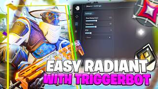 Celebrity 24H With The Best Valorant Triggerbot For To Hit RADIANT !! (100% Undetected) Wealth