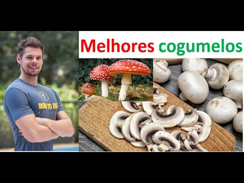o-poder-dos-cogumelos-medicinais-e-incrível-terapia-para-gordura-localizada-e-antienvelhecimento